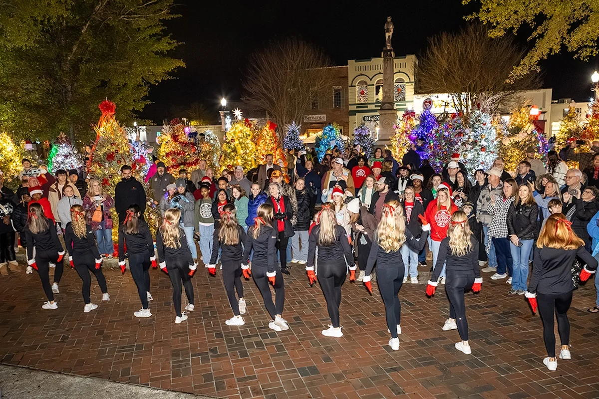 Dancers perform for the crowd at the Festival of Lights.